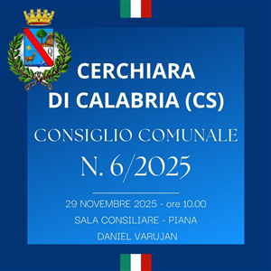 Consiglio Comunale n.6/25