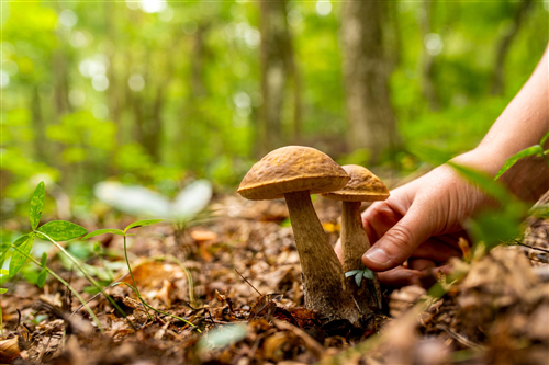 Avviso importante per i cittadini!